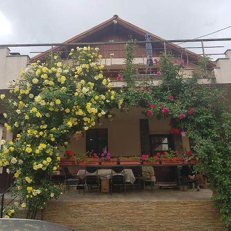 Casa Delia Hotel Călimăneşti Kültér fotó