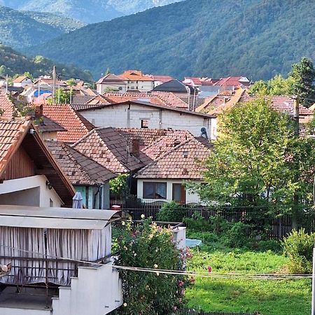 Casa Delia Hotel Călimăneşti Kültér fotó