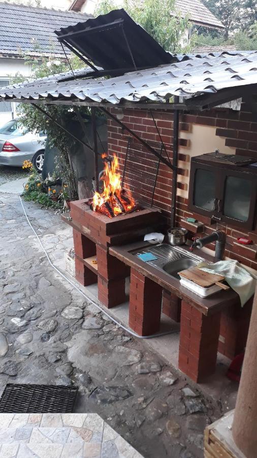 Casa Delia Hotel Călimăneşti Kültér fotó