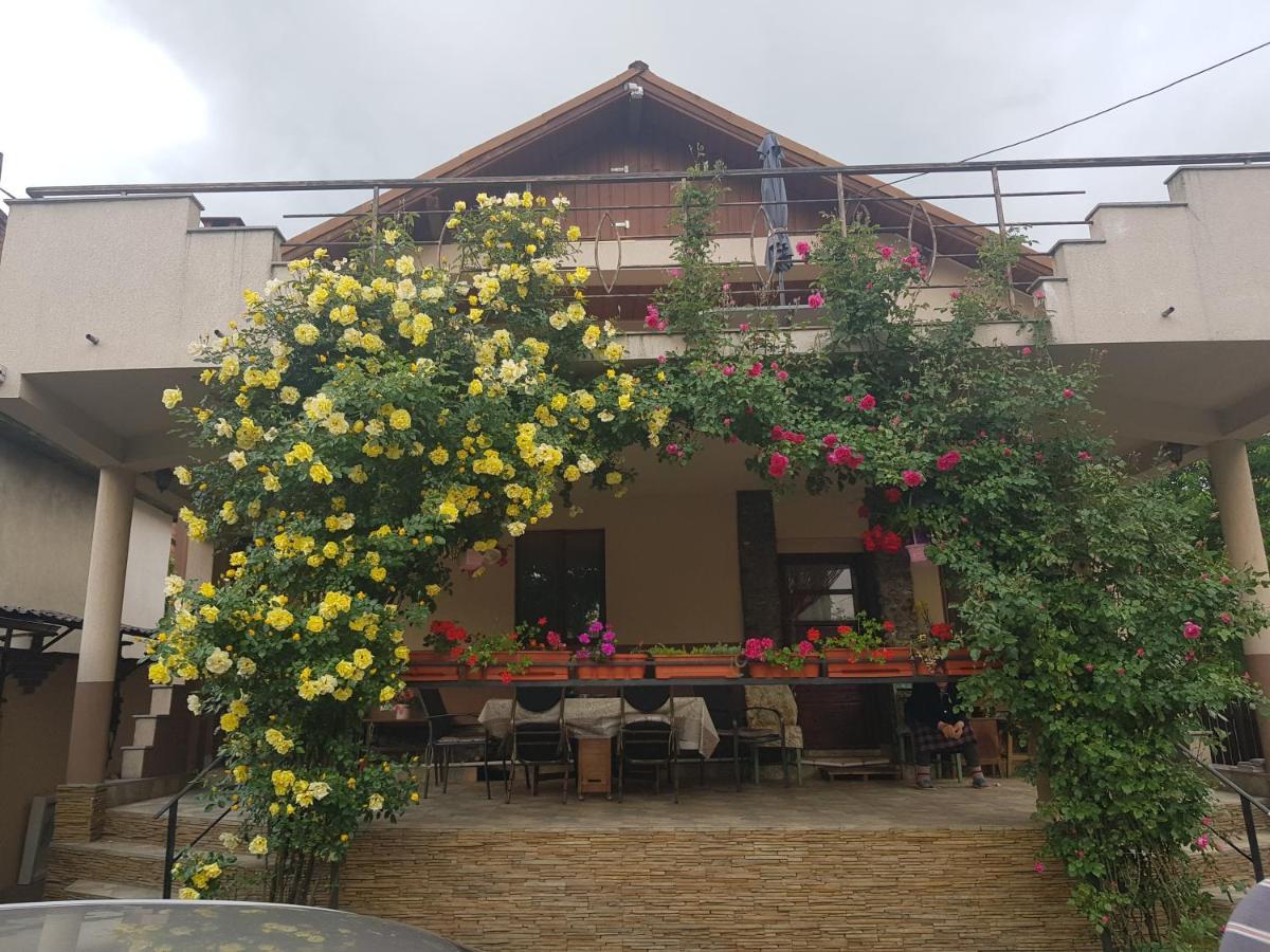 Casa Delia Hotel Călimăneşti Kültér fotó