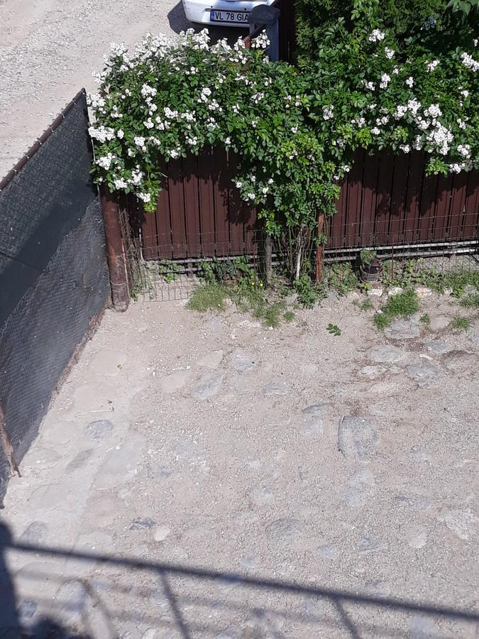 Casa Delia Hotel Călimăneşti Kültér fotó