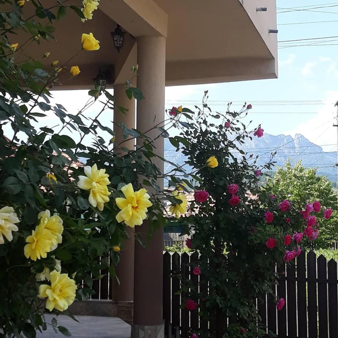 Casa Delia Hotel Călimăneşti Kültér fotó